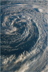 Typhoon
