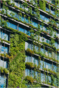 Eco City